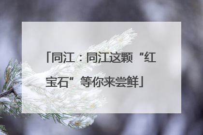 同江：同江这颗“红宝石”等你来尝鲜