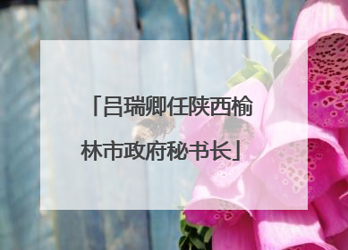 吕瑞卿任陕西榆林市政府秘书长