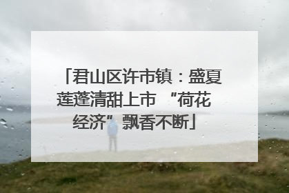 君山区许市镇：盛夏莲蓬清甜上市 “荷花经济”飘香不断