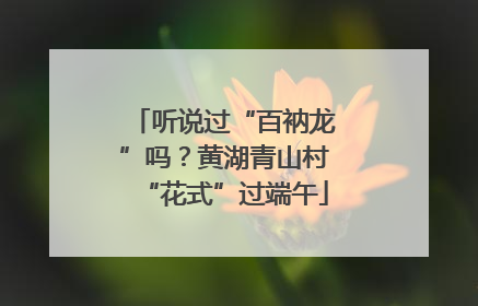 听说过“百衲龙”吗？黄湖青山村“花式”过端午