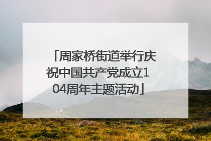 周家桥街道举行庆祝中国共产党成立104周年主题活动
