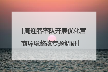 周迎春率队开展优化营商环境整改专题调研