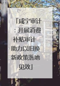 咸宁审计：开展消费补贴审计 助力以旧换新政策落地见效