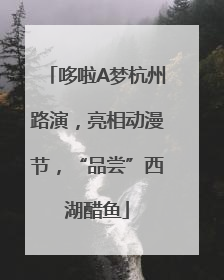 哆啦A梦杭州路演，亮相动漫节，“品尝”西湖醋鱼