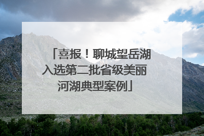 喜报！聊城望岳湖入选第二批省级美丽河湖典型案例