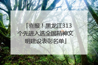 喜报！黑龙江313个先进入选全国精神文明建设表彰名单