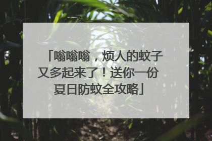 嗡嗡嗡，烦人的蚊子又多起来了！送你一份夏日防蚊全攻略