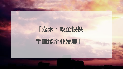 嘉禾：政企银携手赋能企业发展