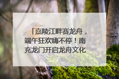 嘉陵江畔赛龙舟，端午狂欢嗨不停！南充龙门开启龙舟文化盛宴｜镜观四川