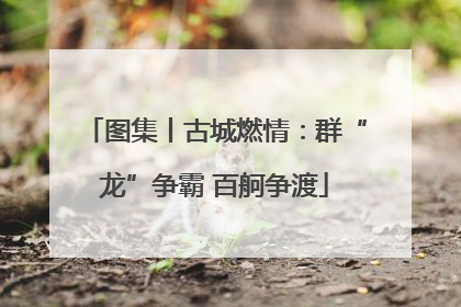 图集丨古城燃情：群“龙”争霸 百舸争渡