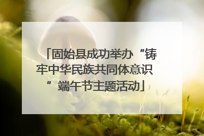 固始县成功举办“铸牢中华民族共同体意识”端午节主题活动