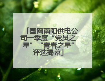 国网南阳供电公司一季度“党员之星”“青春之星”评选揭幕