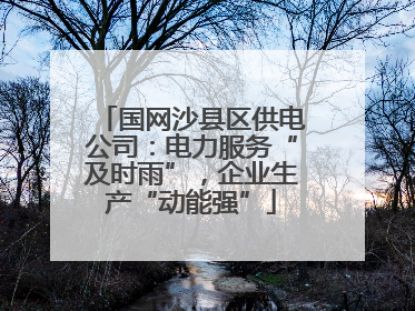 国网沙县区供电公司：电力服务“及时雨”，企业生产“动能强”