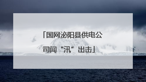 国网泌阳县供电公司闻“汛”出击