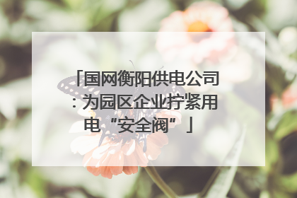 国网衡阳供电公司：为园区企业拧紧用电“安全阀”