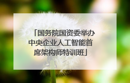 国务院国资委举办中央企业人工智能首席架构师特训班