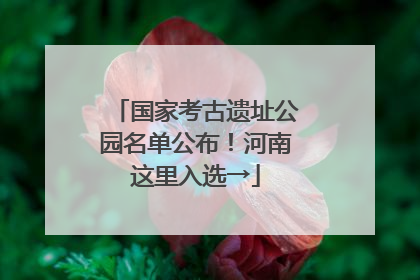 国家考古遗址公园名单公布！河南这里入选→