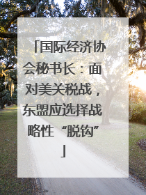 国际经济协会秘书长：面对美关税战，东盟应选择战略性“脱钩”