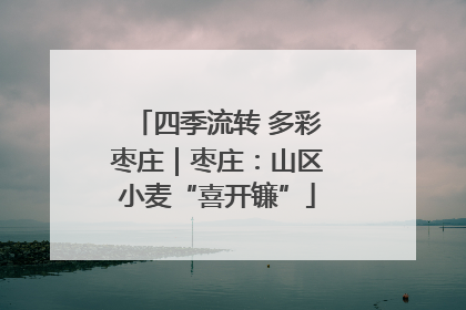 四季流转 多彩枣庄｜枣庄：山区小麦“喜开镰”