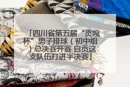 四川省第五届“贡嘎杯”男子排球（初中组）总决赛开赛 自贡这支队伍打进半决赛