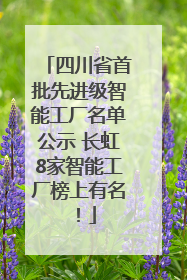 四川省首批先进级智能工厂名单公示 长虹8家智能工厂榜上有名！