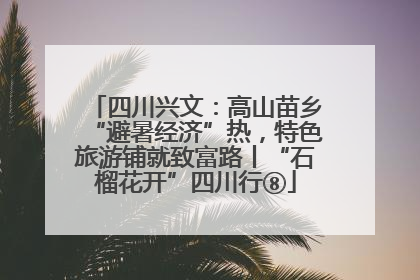 四川兴文：高山苗乡“避暑经济”热，特色旅游铺就致富路丨“石榴花开”四川行⑧