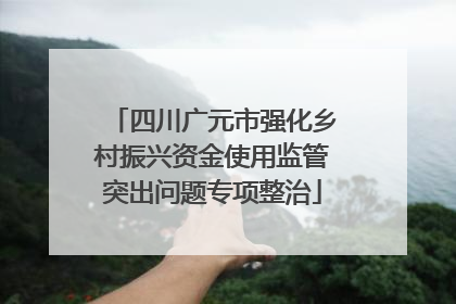 四川广元市强化乡村振兴资金使用监管突出问题专项整治