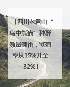 四川老君山“鸟中熊猫”种群数量翻番，繁殖率从15%升至32%