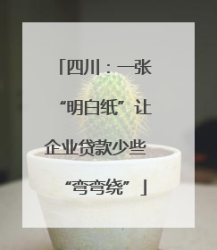 四川：一张“明白纸”让企业贷款少些“弯弯绕”