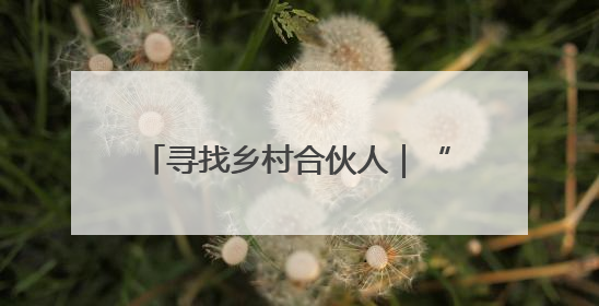 寻找乡村合伙人｜“棚”然心动的盐碱地