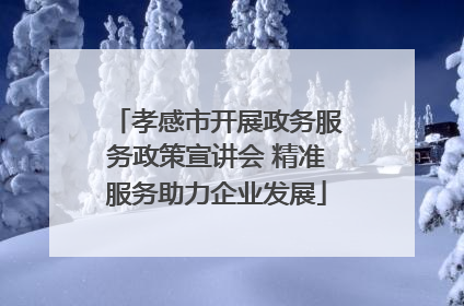 孝感市开展政务服务政策宣讲会 精准服务助力企业发展