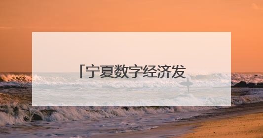 宁夏数字经济发展跑出加速度