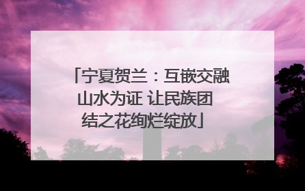 宁夏贺兰：互嵌交融 山水为证 让民族团结之花绚烂绽放