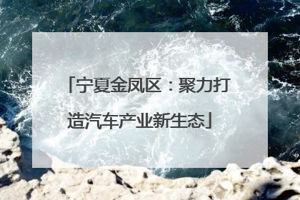 宁夏金凤区：聚力打造汽车产业新生态