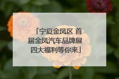 宁夏金凤区 首届金凤汽车品牌展四大福利等你来