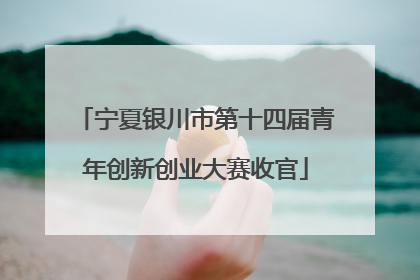 宁夏银川市第十四届青年创新创业大赛收官
