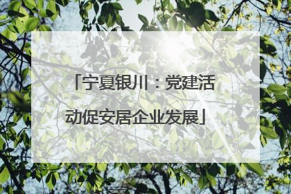 宁夏银川：党建活动促安居企业发展