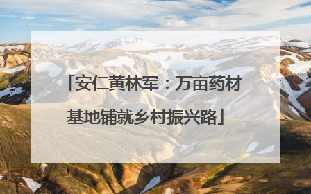 安仁黄林军：万亩药材基地铺就乡村振兴路