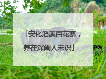 安化滔溪百花寨，养在深闺人未识