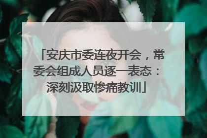 安庆市委连夜开会，常委会组成人员逐一表态：深刻汲取惨痛教训
