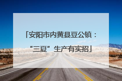 安阳市内黄县豆公镇：“三夏”生产有实招