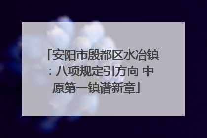 安阳市殷都区水冶镇：八项规定引方向 中原第一镇谱新章