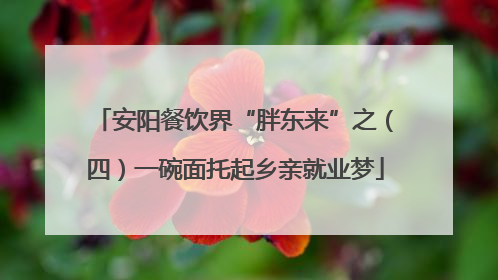 安阳餐饮界“胖东来”之（四）一碗面托起乡亲就业梦