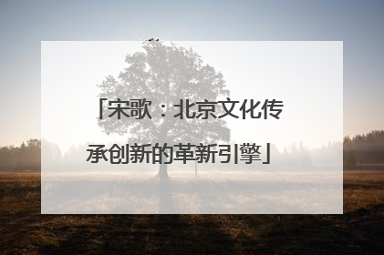 宋歌：北京文化传承创新的革新引擎