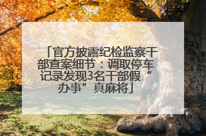 官方披露纪检监察干部查案细节：调取停车记录发现3名干部假“办事”真麻将