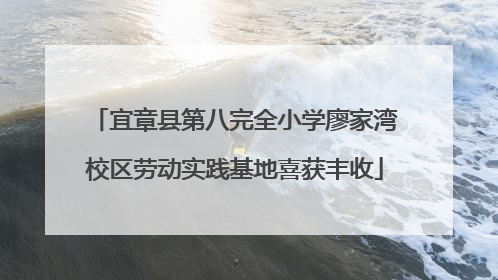 宜章县第八完全小学廖家湾校区劳动实践基地喜获丰收