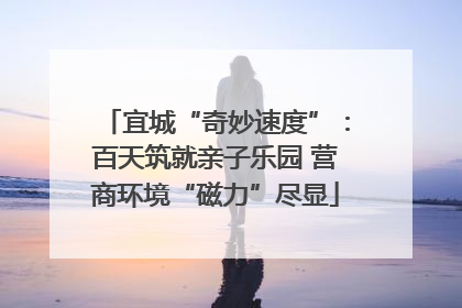 宜城“奇妙速度”：百天筑就亲子乐园 营商环境“磁力”尽显