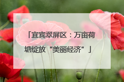 宜宾翠屏区：万亩荷塘绽放“美丽经济”