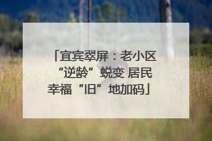 宜宾翠屏：老小区“逆龄”蜕变 居民幸福“旧”地加码