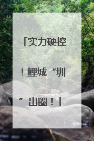 实力硬控！鲤城“圳”出圈！